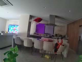 voyeurcam casa salsa fishtank